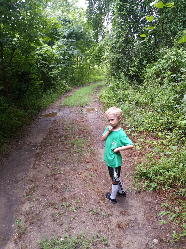 boy looking for native site