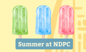 Summer at NDPC