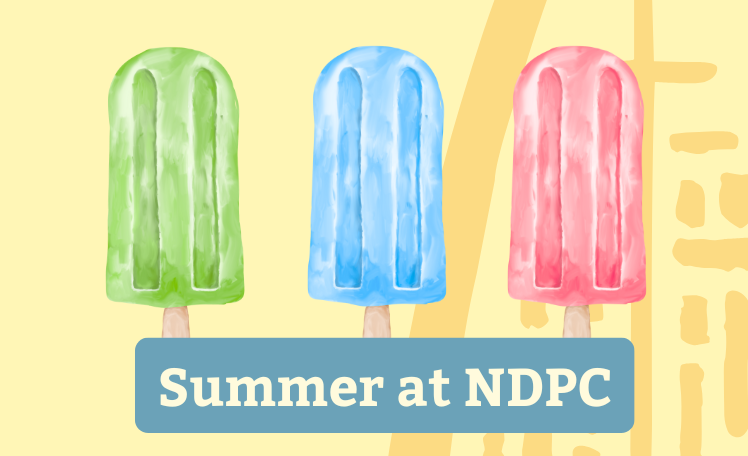 Summer at NDPC